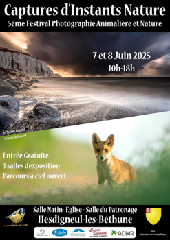 Laurent MEREAUX - Artiste photographe