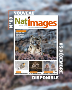 Laurent MEREAUX - Artiste photographe