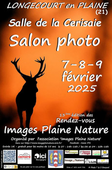 Laurent MEREAUX - Artiste photographe